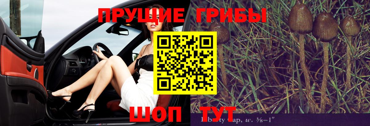 Псилоцибиновые грибы мицелий Новороссийск