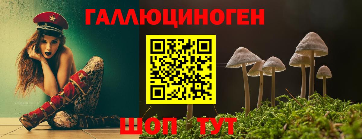 Новороссийск  Псилоцибиновые грибы GOLDEN TEACHER  Вход с VPN 